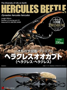 Модель Игрушки Hercules Beetles В Собранном Виде Имитирует Многосуставное Насекомое IKIMONO DAIZUKAN Премиум-Класса Dynastes Hercules Collection Украшения